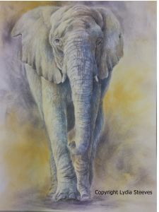 Knysna Elephant CP Online Class